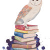 aquarelle d'une chouette effraie posée sur des livres