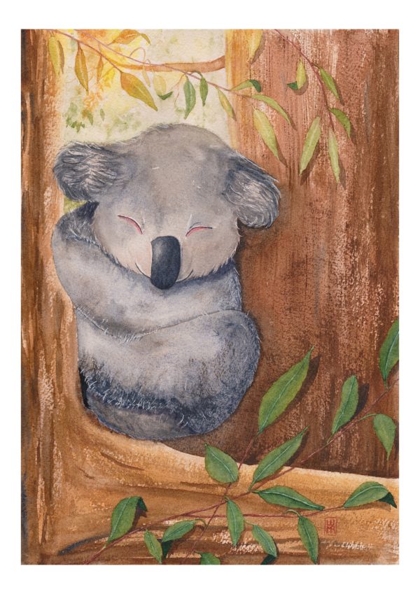 Affiche Koala endormi - illustration pour enfant - décoration chambre bébé