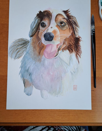 Portrait chien aquarelle format A4 (Phoenix)