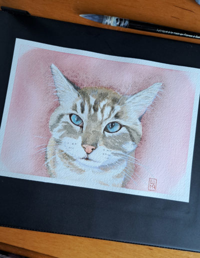 portrait chat aquarelle format A5 (Baloo)