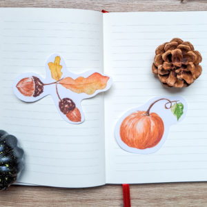 Sticker "Feuilles de chêne et glands" et sticker citrouille