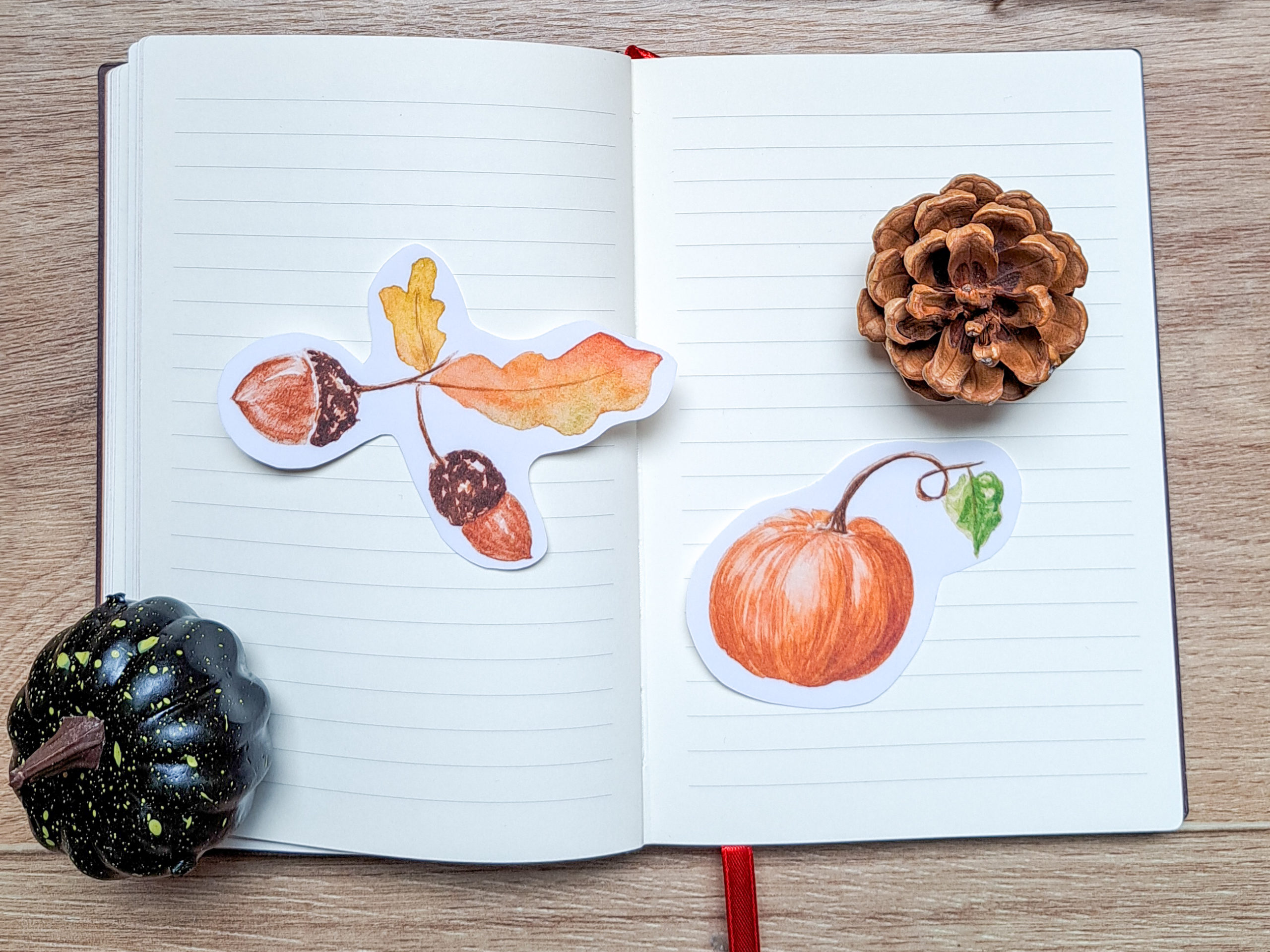 Sticker "Feuilles de chêne et glands" et sticker citrouille