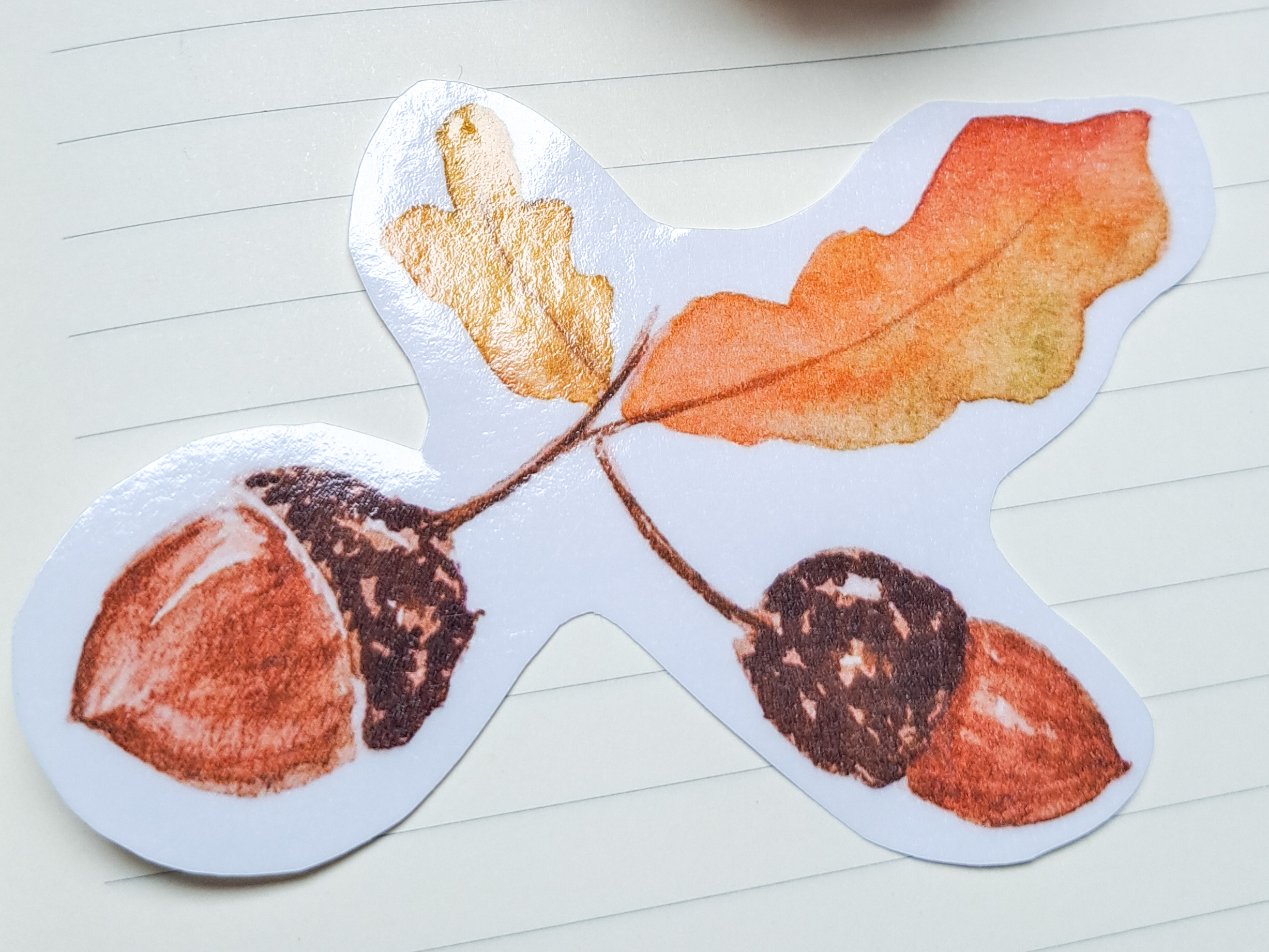 Sticker "Feuilles de chêne et glands" seul