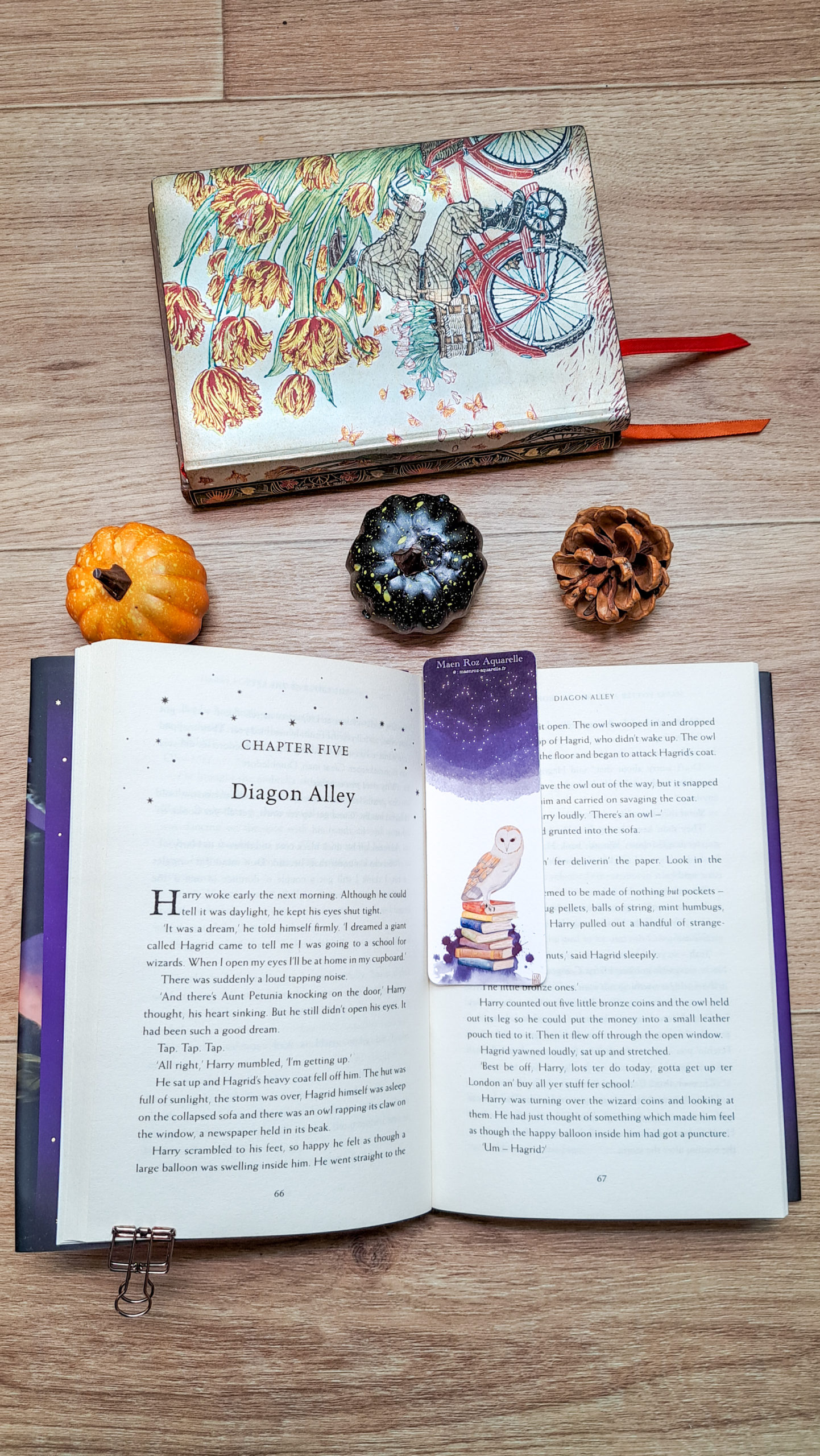 un livre ouvert avec le marque-page chouette des livres qui fait son office et une petite décoration automnale