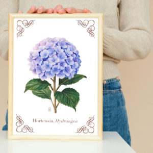 Tirage d'art hortensia